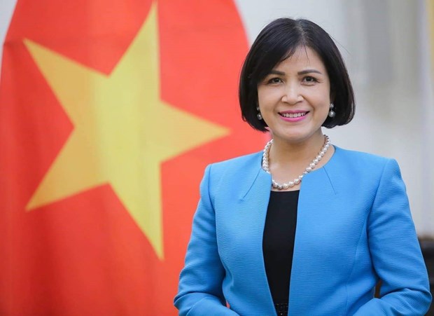 Vietnam chairs meeting of ASEAN Committee in Geneva hinh anh 1