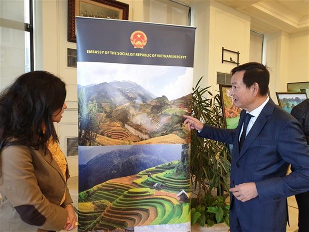 Vietnamese culture on show in Egypt’s second-largest city