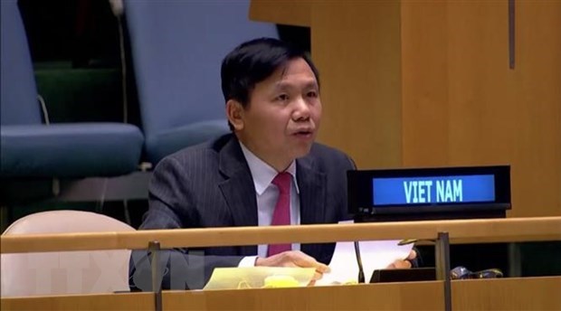 Vietnam performs UNSC responsibilities well: Ambassador hinh anh 1