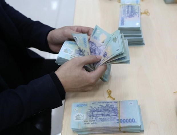 US’s branding of Vietnam as money manipulator biased: Experts hinh anh 4