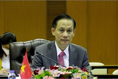 Effective implementation of border-related documents critical to Vietnam-Cambodia ties