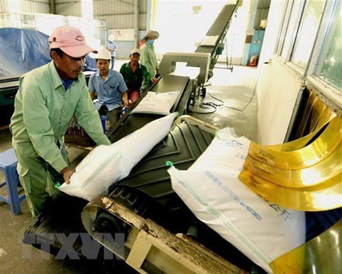 Vietnam capitalises on domestic market amid disrupted global supply chains hinh anh 3