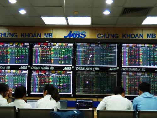 Stock market hits records in COVID-19 year on rising optimism hinh anh 2