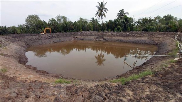 Saline intrusion in Mekong Delta forecast to be severe during Tet hinh anh 1