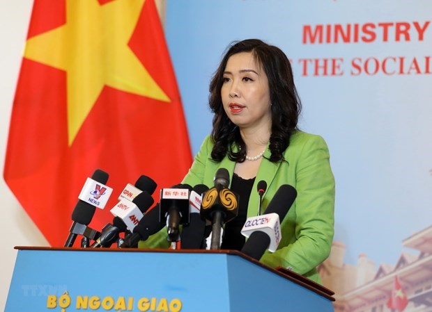 Citizen protection measures taken to protect Vietnamese abroad hinh anh 1