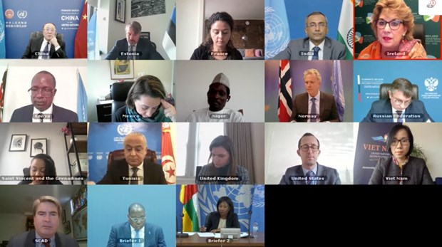 Vietnam calls for conflict resolution in Central African Republic via dialogue hinh anh 1