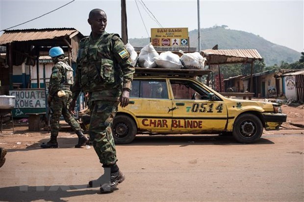Vietnam calls for conflict resolution in Central African Republic via dialogue hinh anh 2