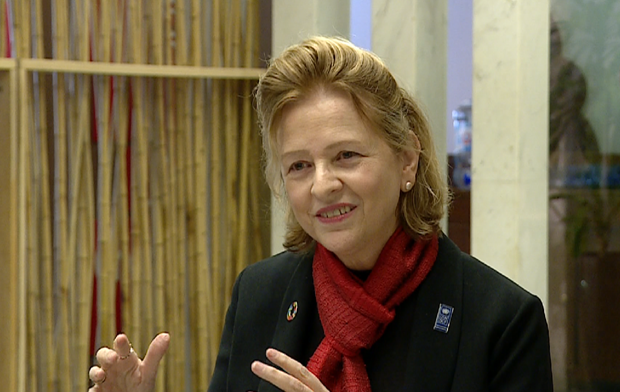 UNDP vows to accompany Vietnam in development process hinh anh 1