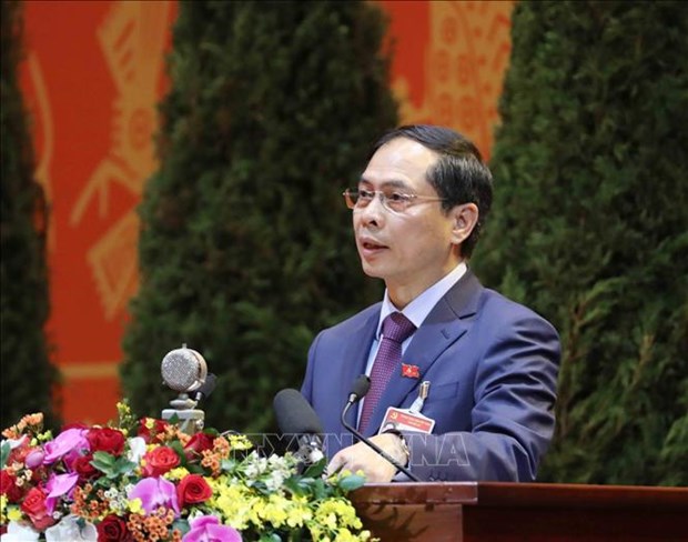 Diplomacy helps create favourable environment for national development: official hinh anh 1