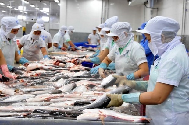 Vietnam contributes to WTO talks on fisheries subsidies hinh anh 1