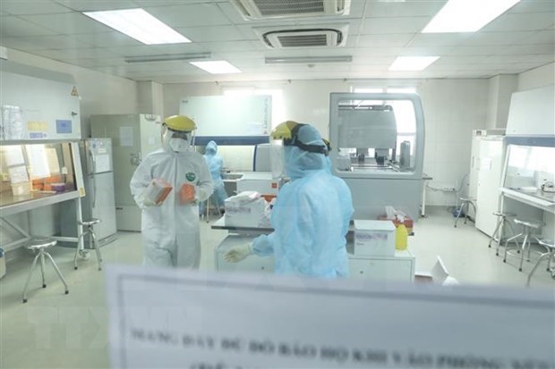 Thirty one cases of COVID-19 detected on February 2 hinh anh 1