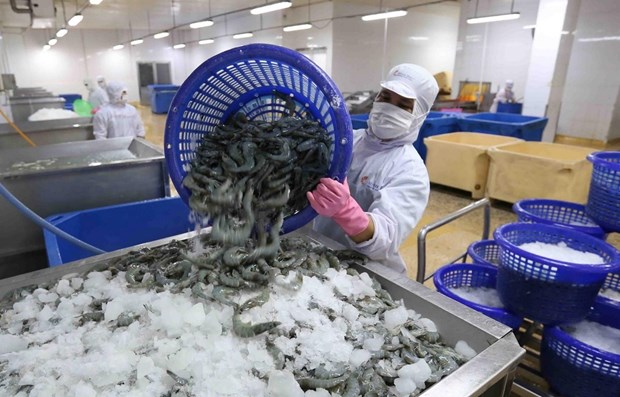 US’s removal of anti-dumping duties on Minh Phu frozen shrimp a fair decision: MoIT