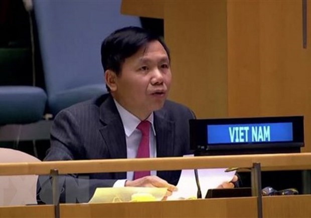 Vietnam urges int’l community to work with ASEAN in Myanmar issue hinh anh 1