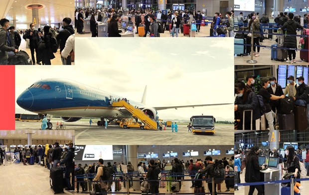 COVID-19 pandemic in review hinh anh 3