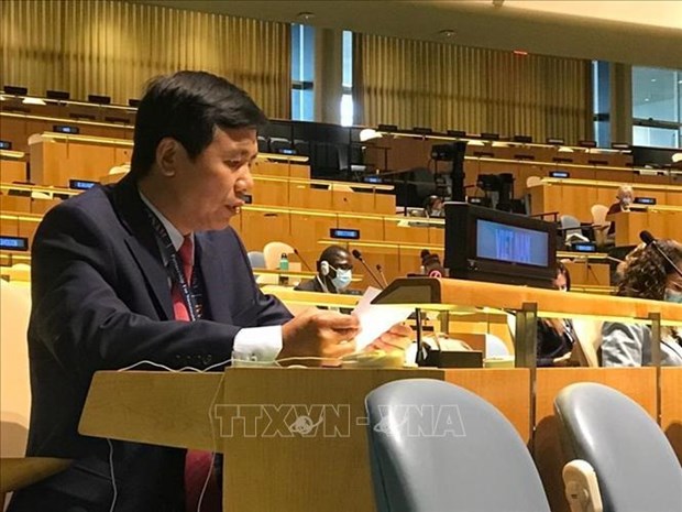 Vietnam backs initiatives to promote Middle East peace process: ambassador hinh anh 1