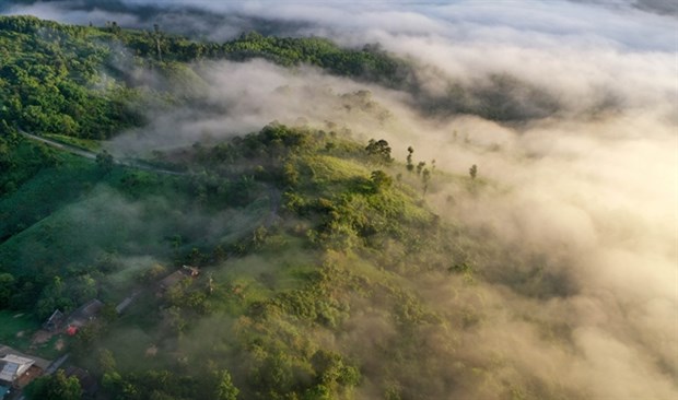 USAID launches environmental conservation projects in Vietnam hinh anh 1