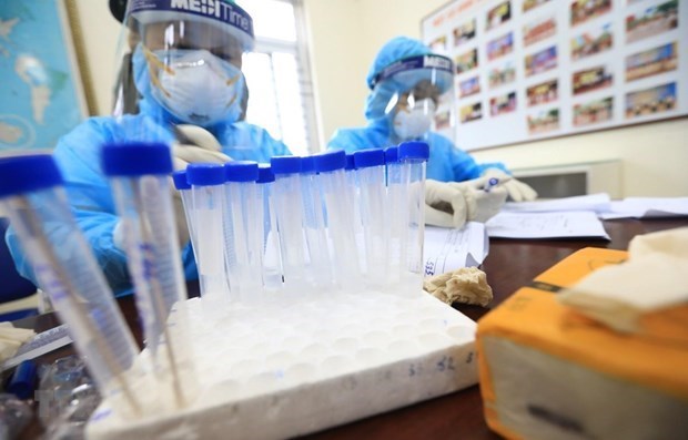 COVID-19: No new cases reported over past 12 hours hinh anh 1