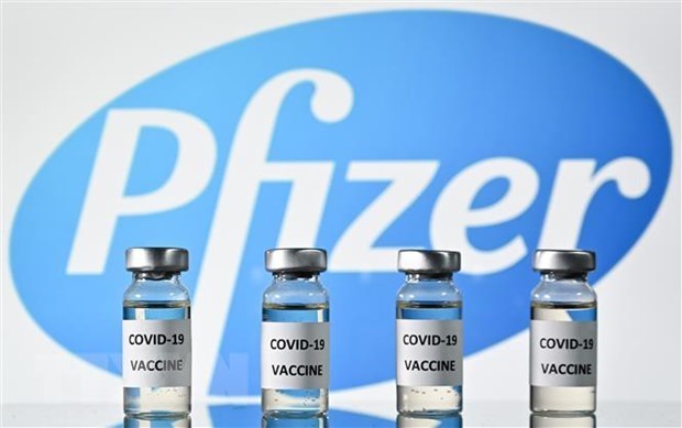 Vietnam to get 31 million Pfizer vaccine doses in Q3, Q4 hinh anh 1