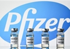 Vietnam to get 31 million Pfizer vaccine doses in Q3, Q4