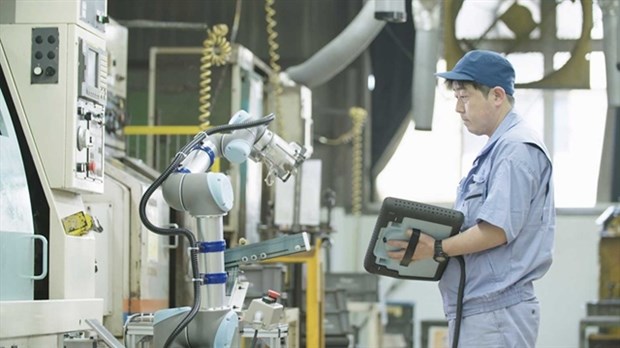 Universal Robots advises Vietnam’s manufacturers to deploy cobots hinh anh 1