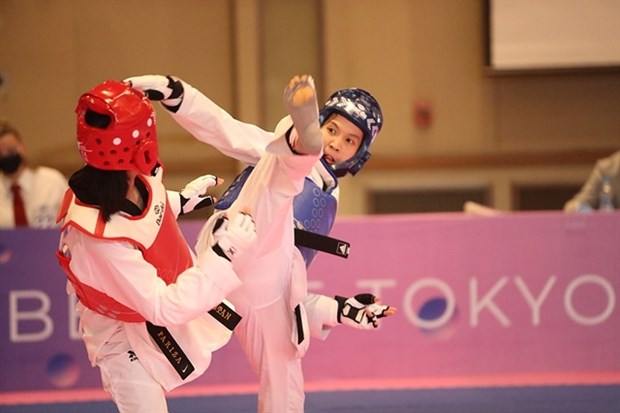 Taekwondo athlete secures Vietnam's eighth Olympic berth hinh anh 1