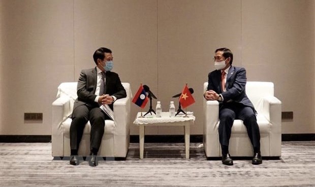Foreign ministers of Vietnam, Laos applaud mutual support in COVID-19 fight hinh anh 1
