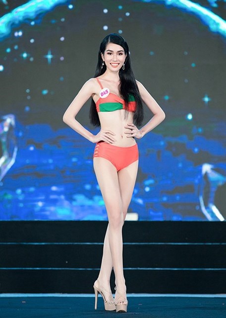 Vietnamese beauties to compete at global pageants hinh anh 2