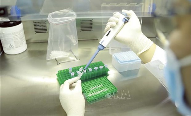 Up to 118 new COVID-19 cases recorded on June 15 morning hinh anh 1