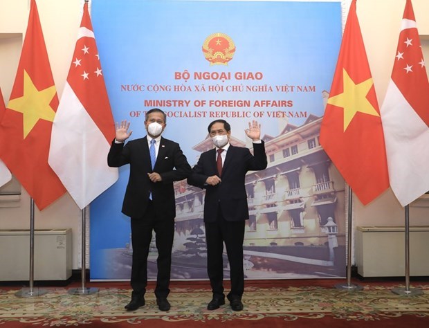 Vietnam, Singapore to work towards bilateral agrement on digital economy hinh anh 1