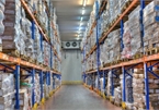 Cold storage market faces serious lack of capacity