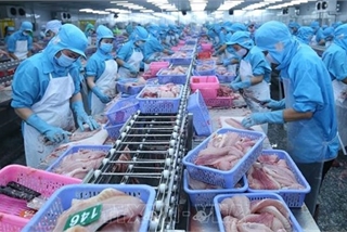 US announces final results of POR16 for Vietnamese tra, basa fish