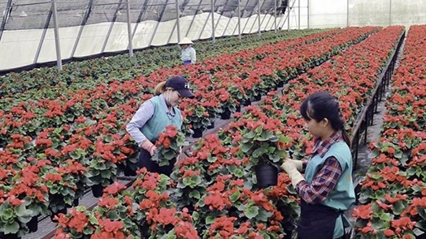 VIETNAM NEWS HEADLINES JULY 7