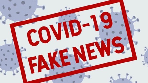 Ministry orders intensifying handling of fake news on COVID-19 hinh anh 1