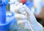 Vietnam to receive COVID-19 vaccines from UK, Czech Republic
