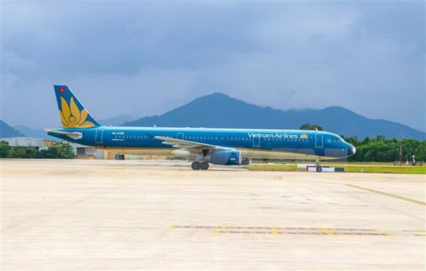 Solutions sought for struggling aviation sector to overcome COVID-19 impacts hinh anh 1