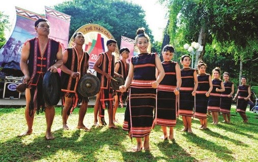 Outstanding achievements made in gender equality among ethnic minorities: Report hinh anh 1