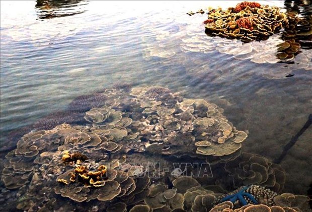 First report on maritime environment, national islands completed