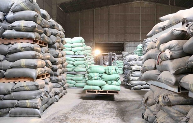Over 4,100 tons of rice granted to three southern provinces