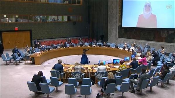 Vietnam affirms importance of humanitarian aid to Syrian people hinh anh 1