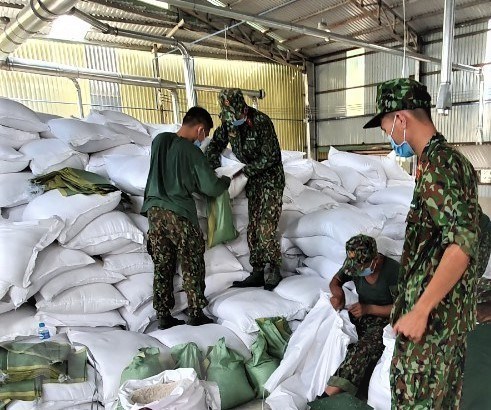 Over 15,300 tonnes of rice to be provided to HCM City, Long An hinh anh 1