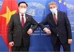 Top leaders of Vietnamese, European parliaments hold talks