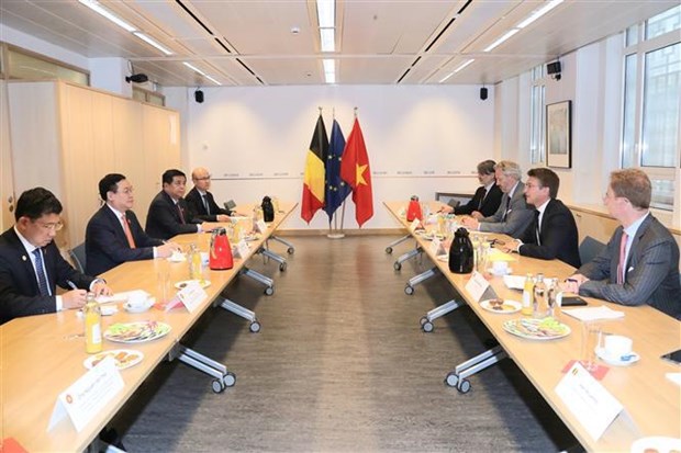 Vietnam, Belgium agree to bolster bilateral relations hinh anh 2