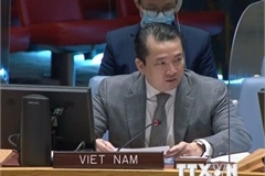 Vietnam proposes reviewing progress towards lifting sanctions against South Sudan
