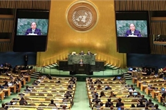 Vietnam remains UN’s trustworthy partner for peace, sustainable development
