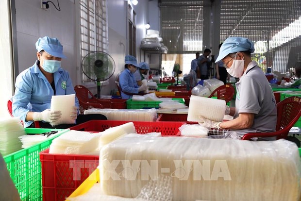 Nearly 70 percent of firms in Tay Ninh resume production hinh anh 1