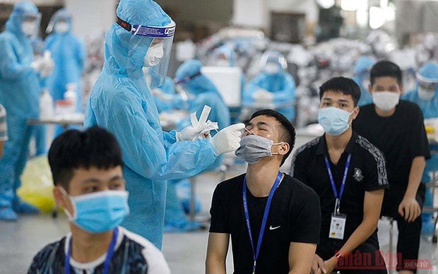 Health Ministry asked to quickly issue self-testing guidelines for firms