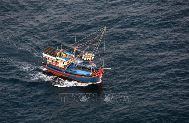 Da Nang spends over 20 bln VND for offshore fishing vessels hinh anh 1