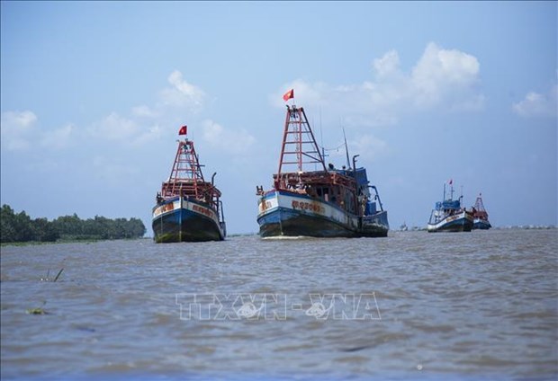 EC to review Vietnam's efforts against IUU at online meeting