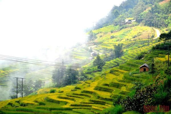 Ngai Thau Thuong – highest village in Vietnam hinh anh 2