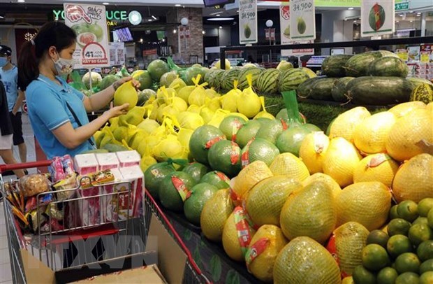 WB lowers Vietnam’s GDP growth forecast to 2-2.5 percent this year